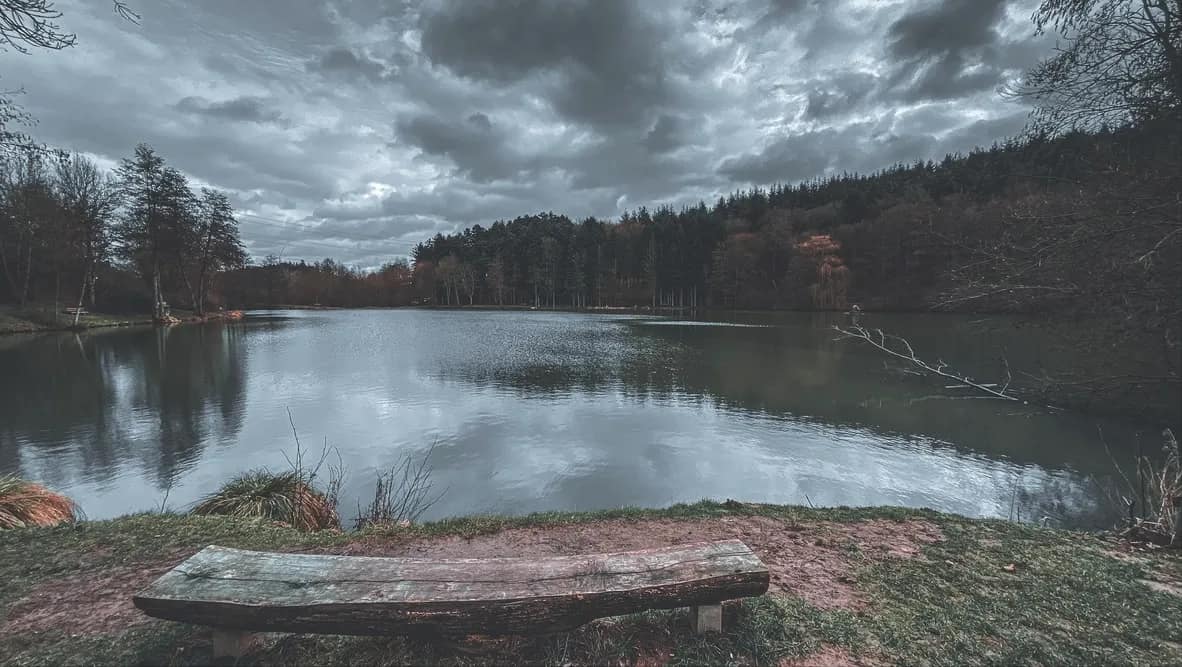 test property